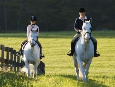 Waterpret om de hoek
