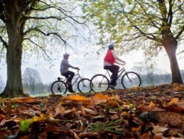 Huisdieren toegestaan