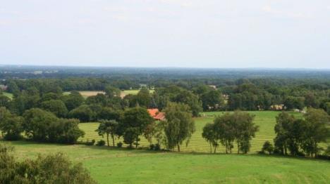 Natürlich genießen