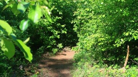 Wandern rundum den Ferienpark