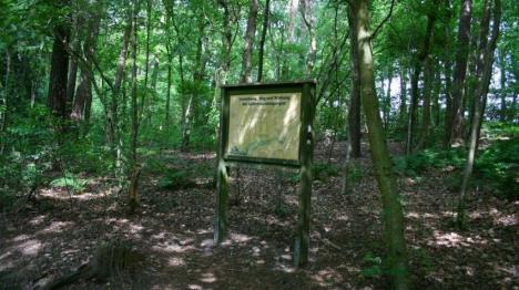 Wandern rundum den Ferienpark