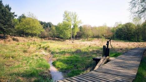 Randonnée autour le parc de vacances