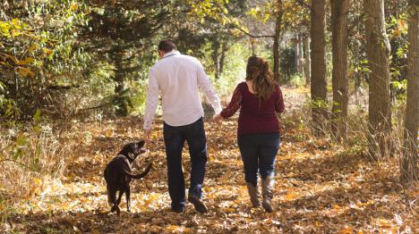 Vacances avec le chien