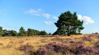 Hiking around the holiday park